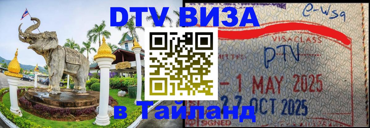 Оформление DTV визы под ключ: стоимость и тарифы, только загранпаспорт - 